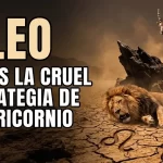 Leo lo que debes aprender de la frialdad de Capricornio